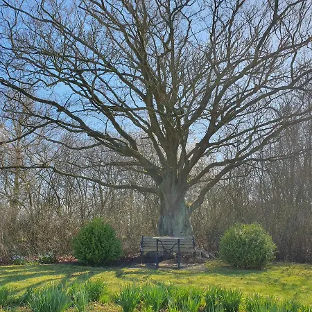 Bed & Breakfast Anjas Nest Rodby